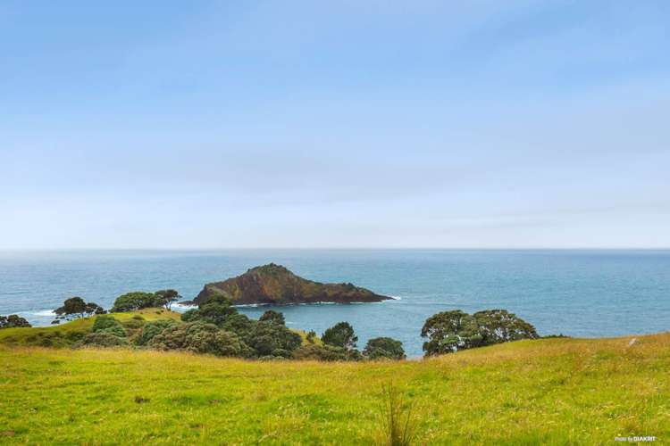 346 Gray Road Great Barrier Island (Aotea Island)_28