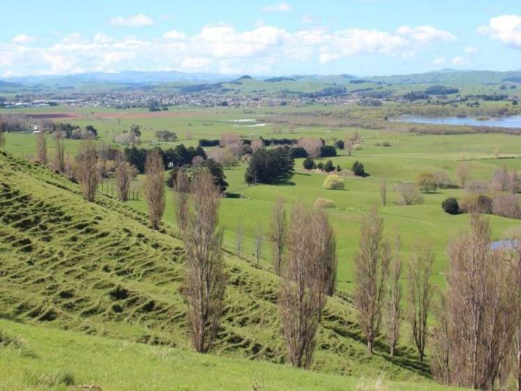 434 Hatuma Road Waipukurau and Surrounds_9