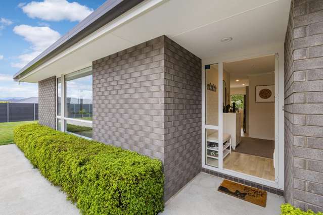 134 Turnbull Drive Witherlea_2