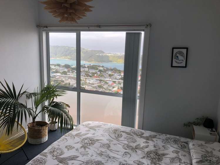 17A Marewa Road Hataitai_19