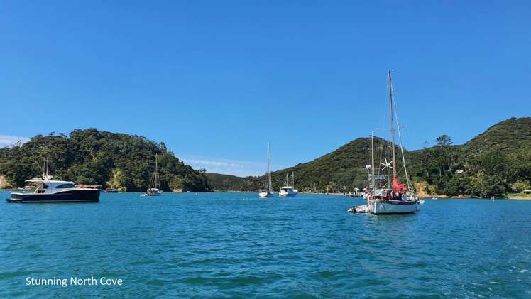Lot 138/DP4961 North Cove Kawau Island_14