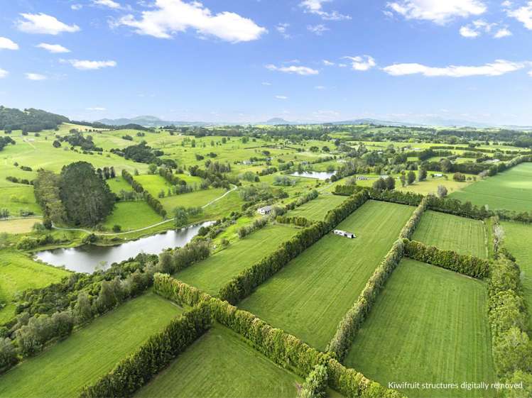 100E Hodge Road Ruatangata West_15