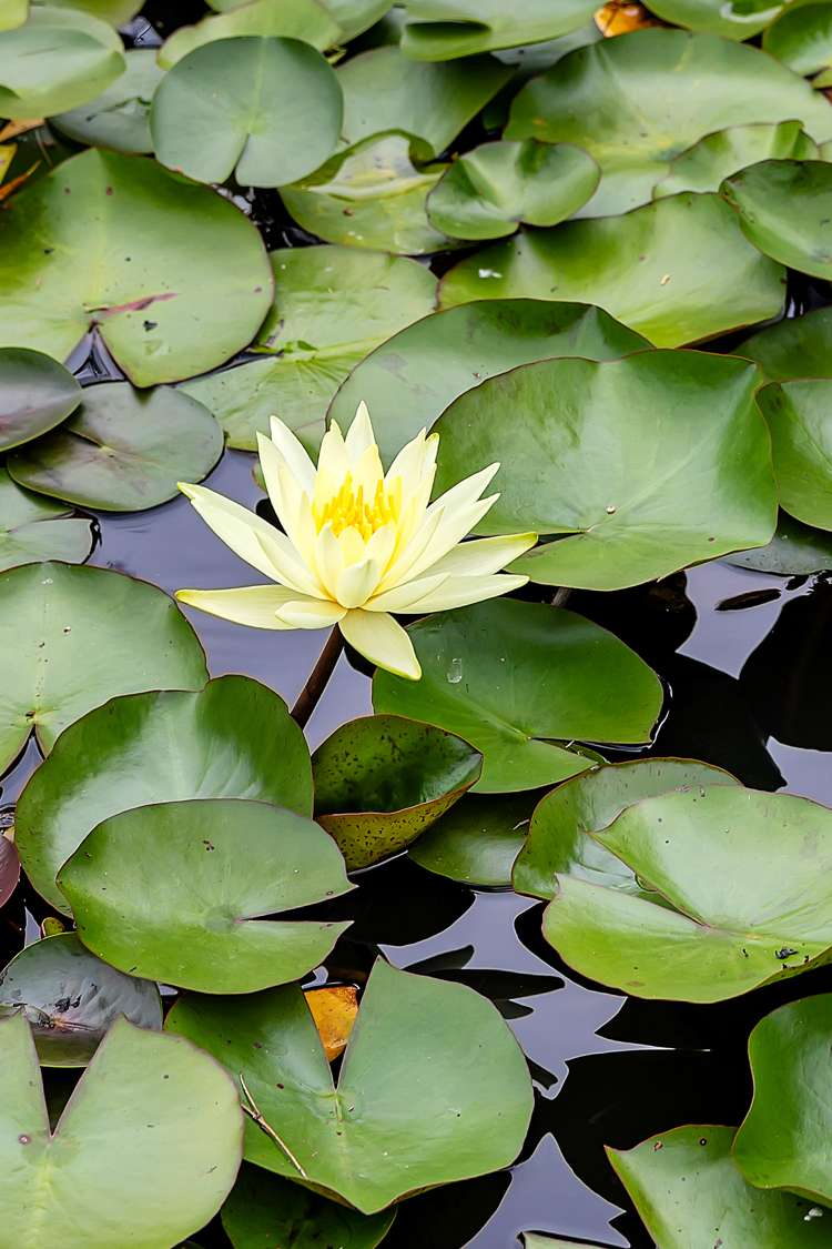 449 Cemetery Road Maunu_46