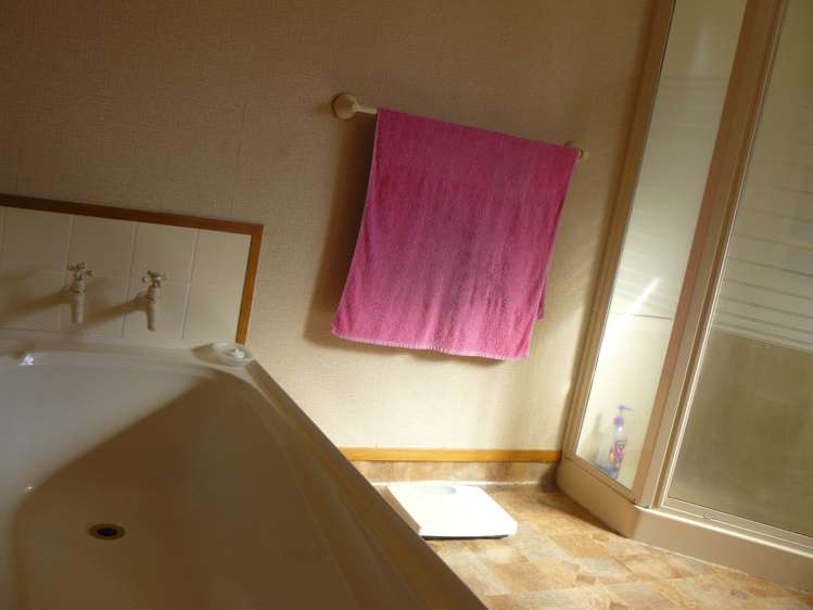 24 Old Te Kuiti Road Otorohanga_20