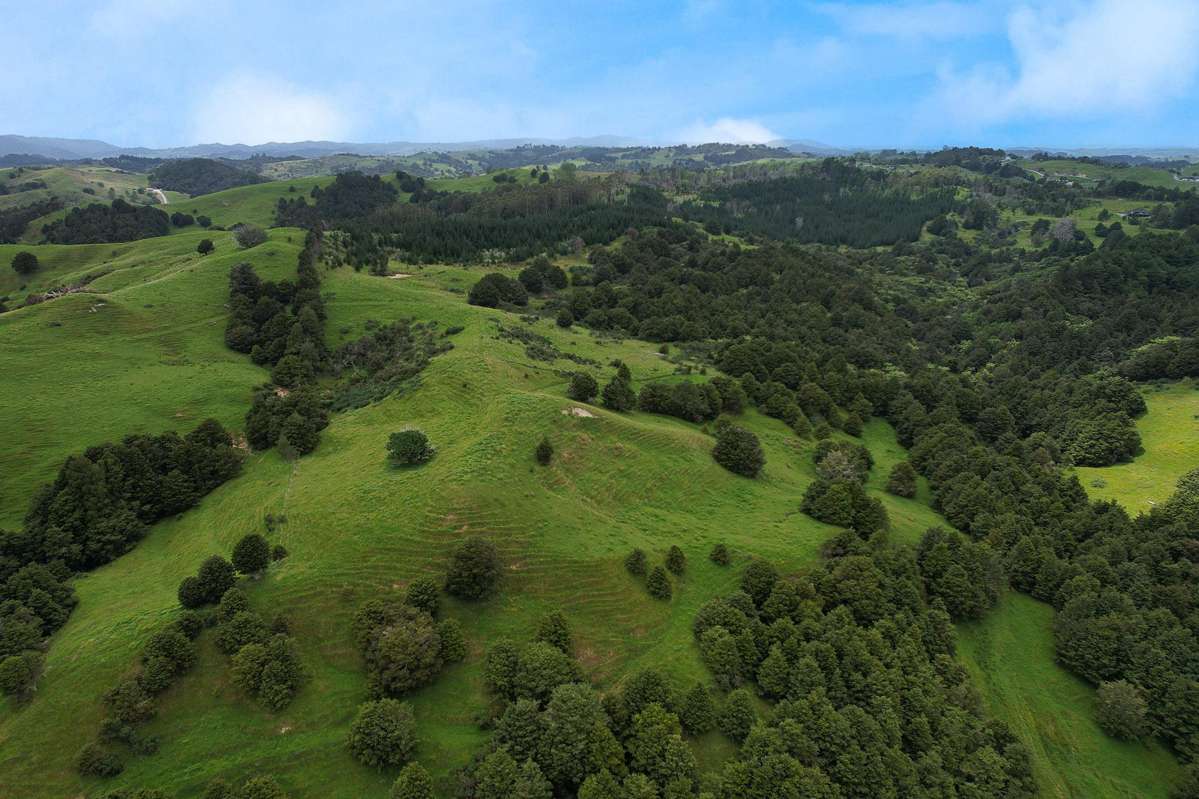 Lot 2/347 Porter Road_3