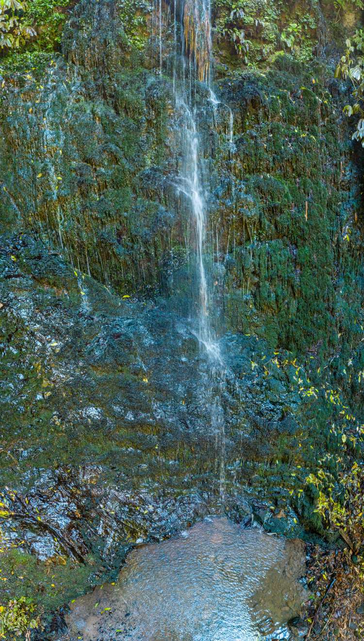 8 Natusch Road Belmont_22