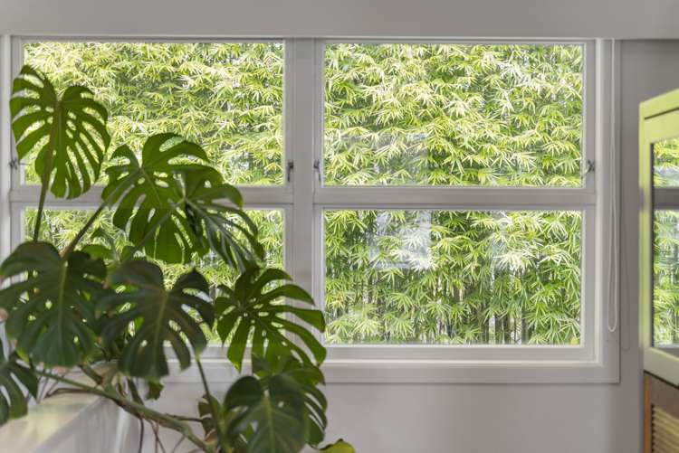 68 Coopers Road Gate Pa_11