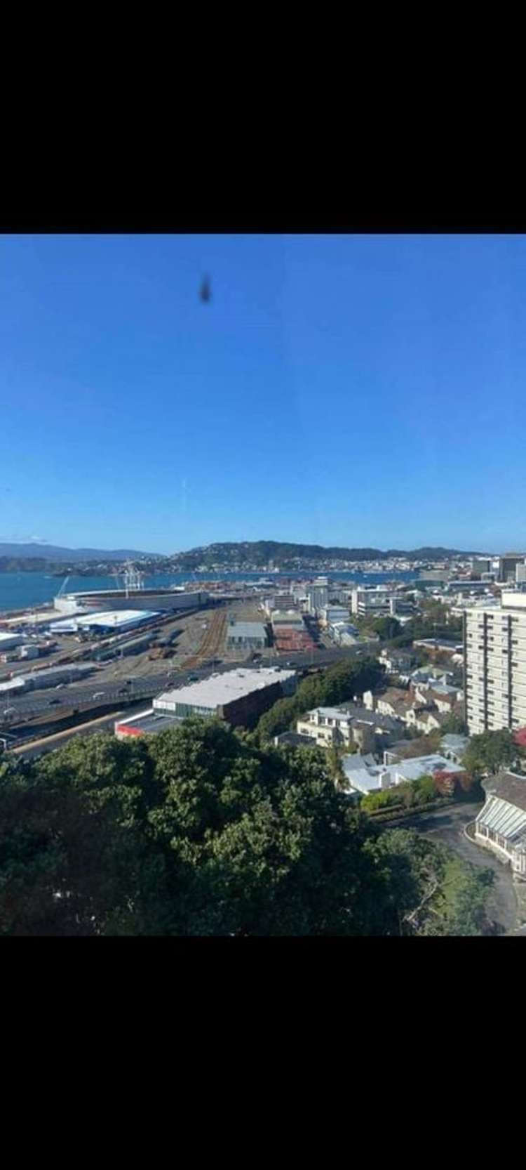 9 Grosvenor Terrace Wadestown_14