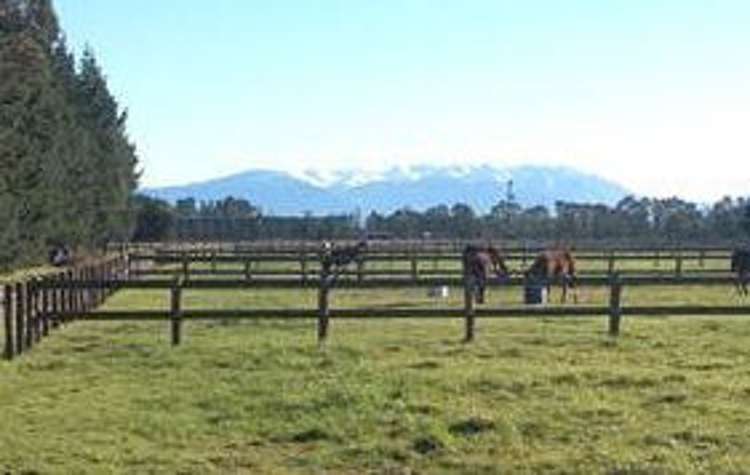 219 Hinds Highway Tinwald_18