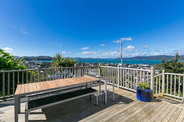 61 Mantell Street Seatoun_1