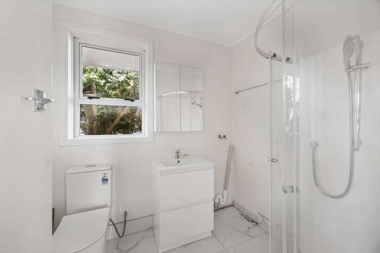 75 Awaroa Road Sunnyvale_7