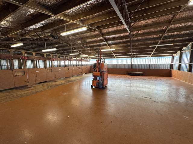 632 Murumuru Road Raetihi_4