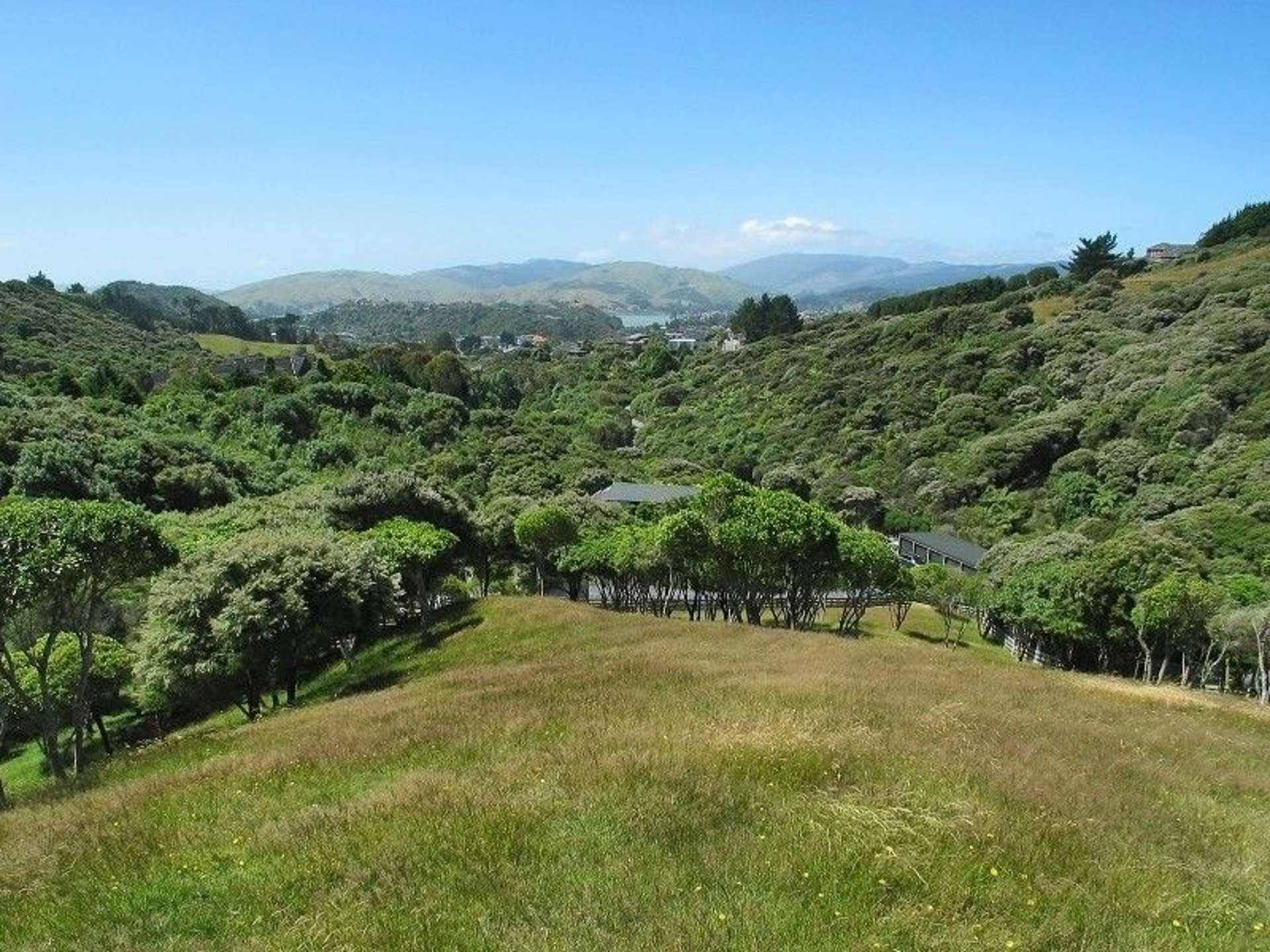 69 Exploration Way Whitby_0