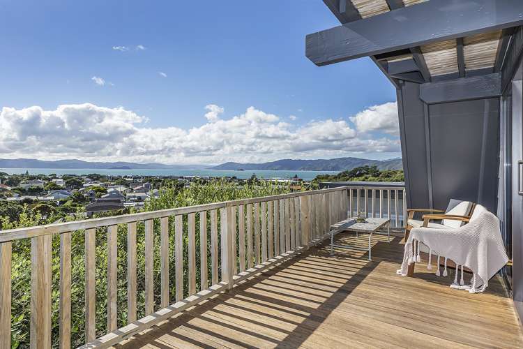 49 Mantell Street Seatoun_0