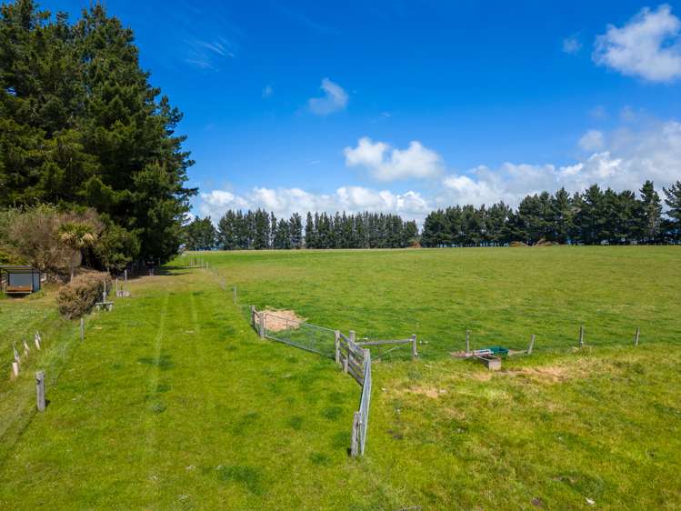 277 Hook School Road Makikihi_30