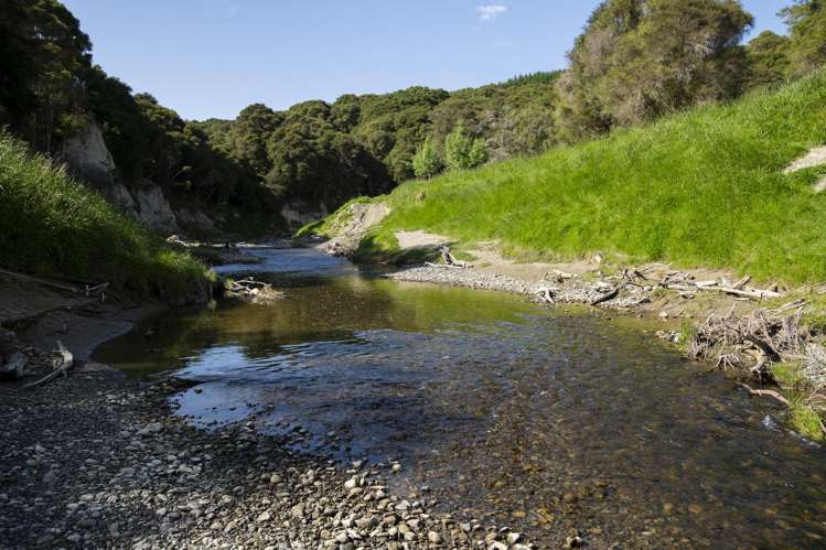 Waihua Valley Wairoa_19