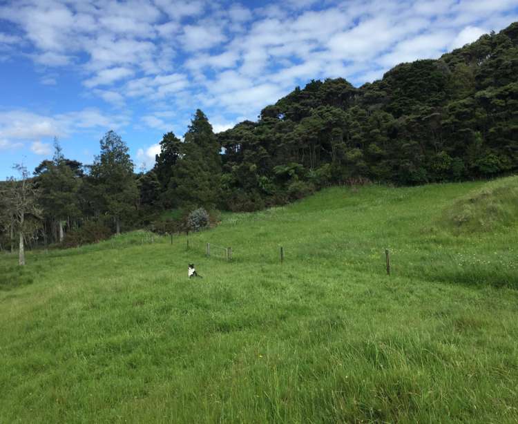 1295 Old North Road Helensville_6