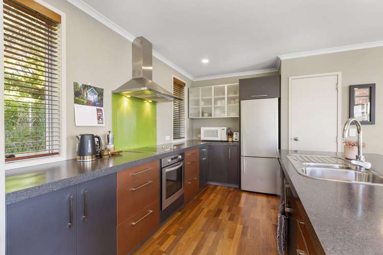 23d Violet Street Raglan_8