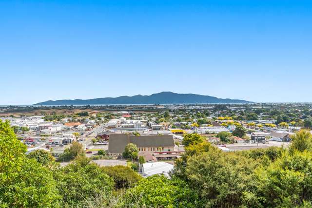 16 Tongariro Street Paraparaumu_2