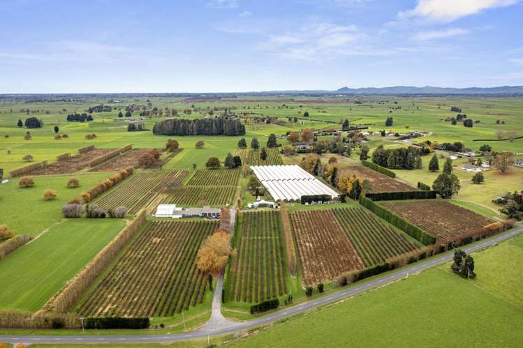 1972 Te Rahu Road Te Awamutu_29