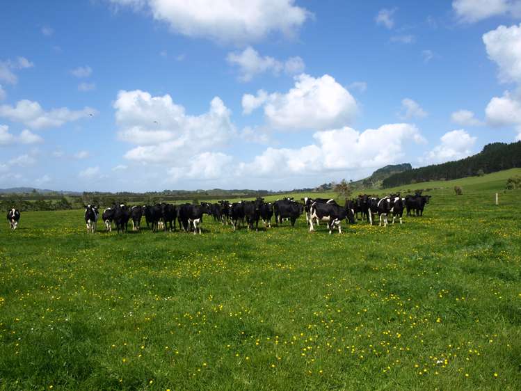 87 West Road Clevedon_5