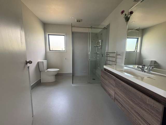 61 Jean MacKay Place Dairy Flat_4