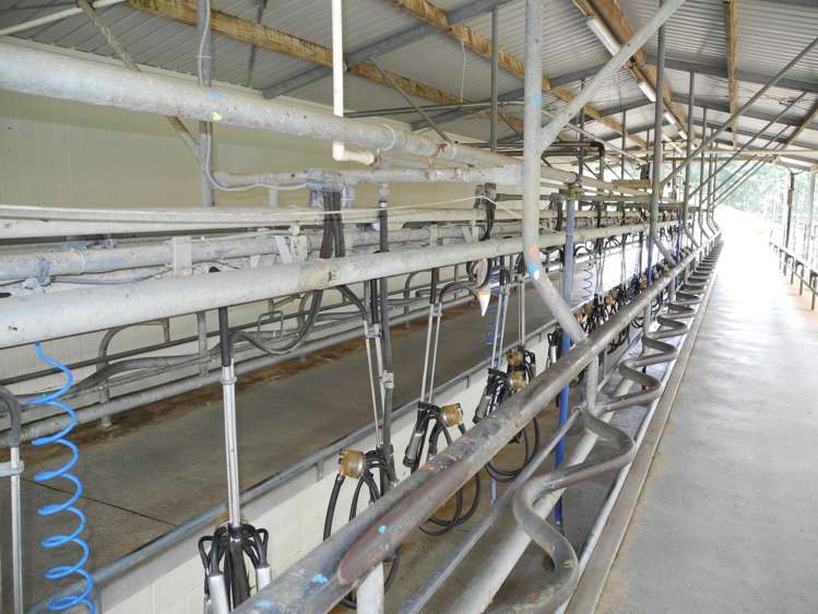 3198 State Highway 23 Raglan_10