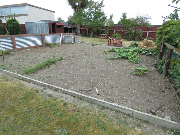 19 Reed Street Hinds_9