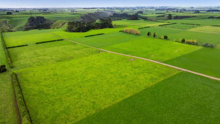 624 Meremere Road Hawera_7