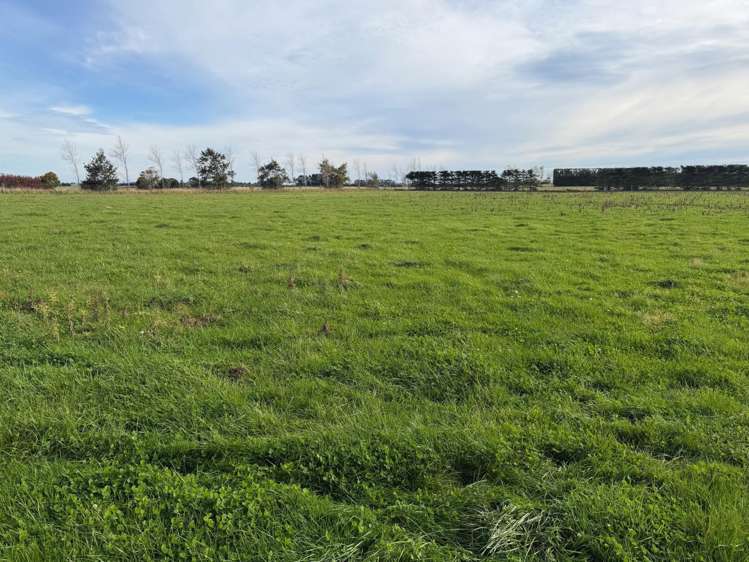 Thomsons Crossing Road Thomsons Crossing_4