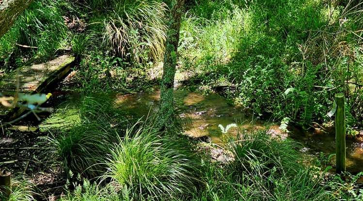 350A Bothwell Park Road Otaua_27