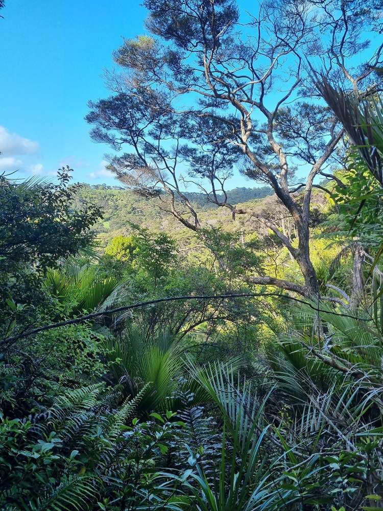 305 Wairere Road Waitakere_9