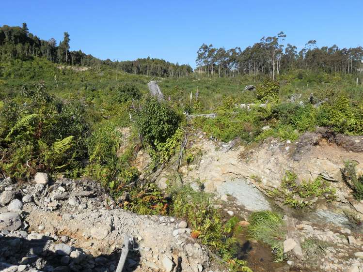 756a Rutherglen Road Marsden_11