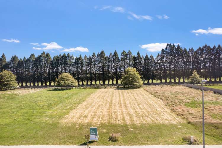 50 Memorial Crescent Methven Methven_3