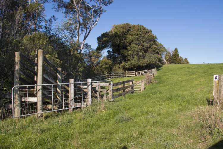 291 Rea Road Hauraki Surrounds_18