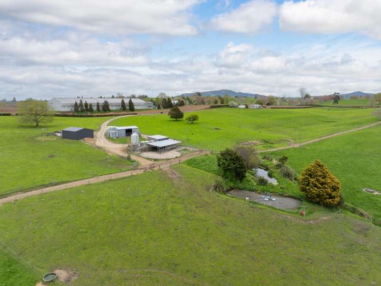222 Gunn Road Matamata_6