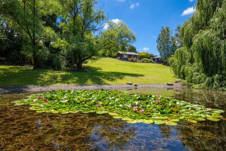 222 Golden Hills Road Appleby_3