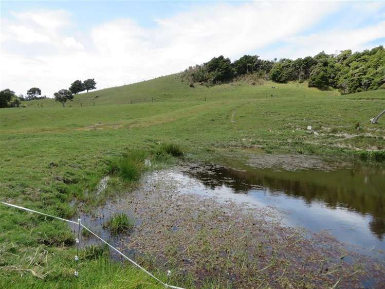 5 Te Opi Road Whakapirau_15