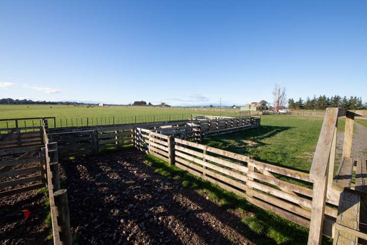 1347 State Highway 1 Marton_10