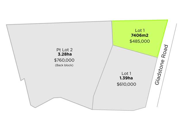 262a Gladstone Road Levin_1