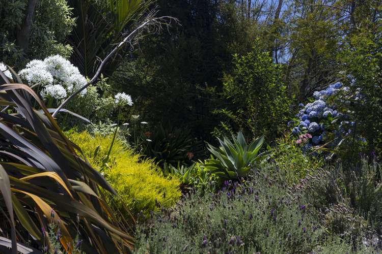 1767 State Highway 10 Kaeo_18