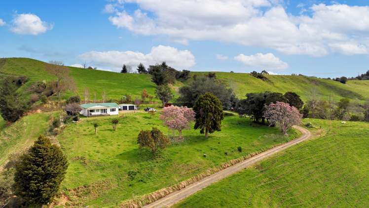 636 Otara Road Opotiki_10