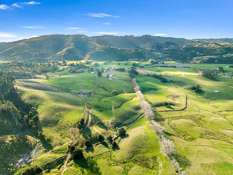 306 West Coast Road Makarau_18