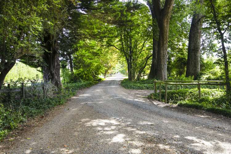 1141 Omahu Road Twyford_9