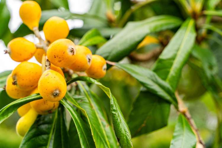 21 Marsh Street Ruakaka_18