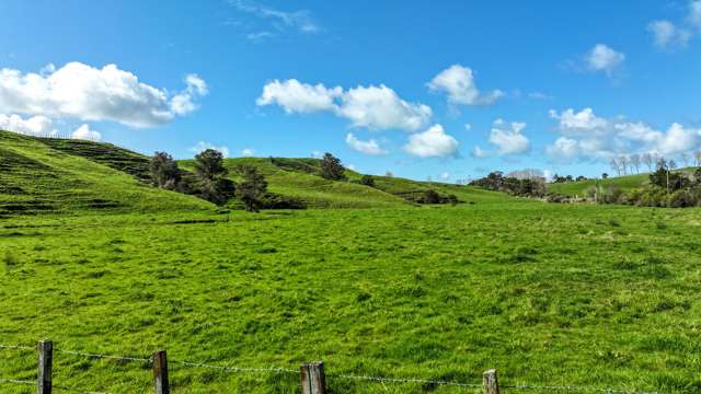 249B State Highway 27 Mangatarata_1