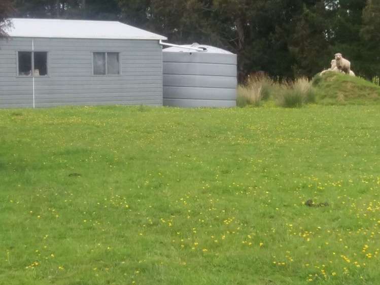 62 Bredins Line Marton_6