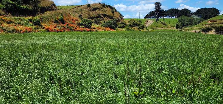 5 Kakaramea Road Patea_11