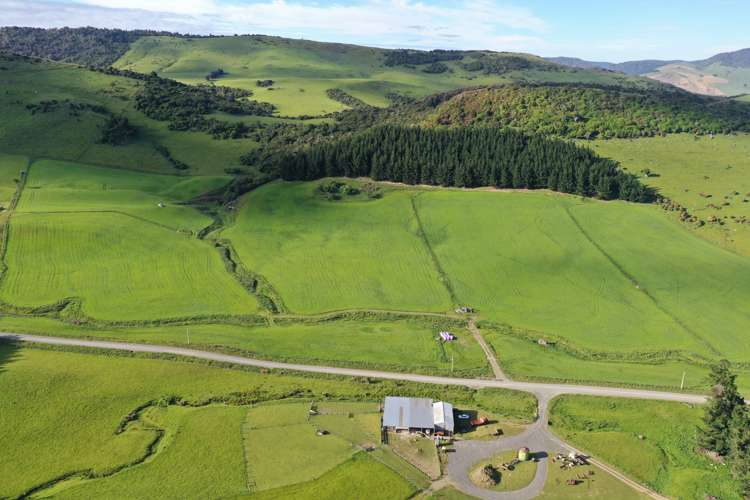 Hunt Road Catlins Surrounds_1