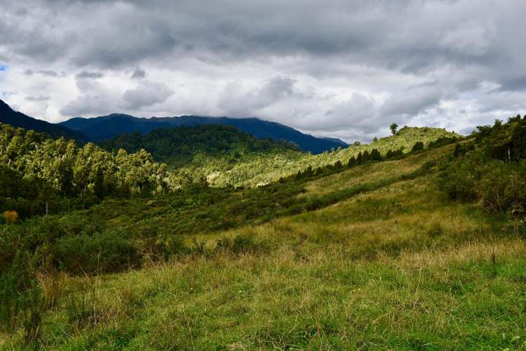 40Ha Block State Highway 67 Mokihinui_22